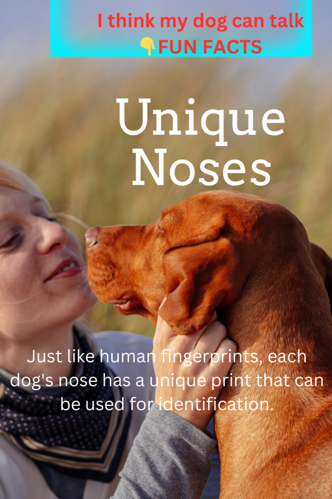 Dogs